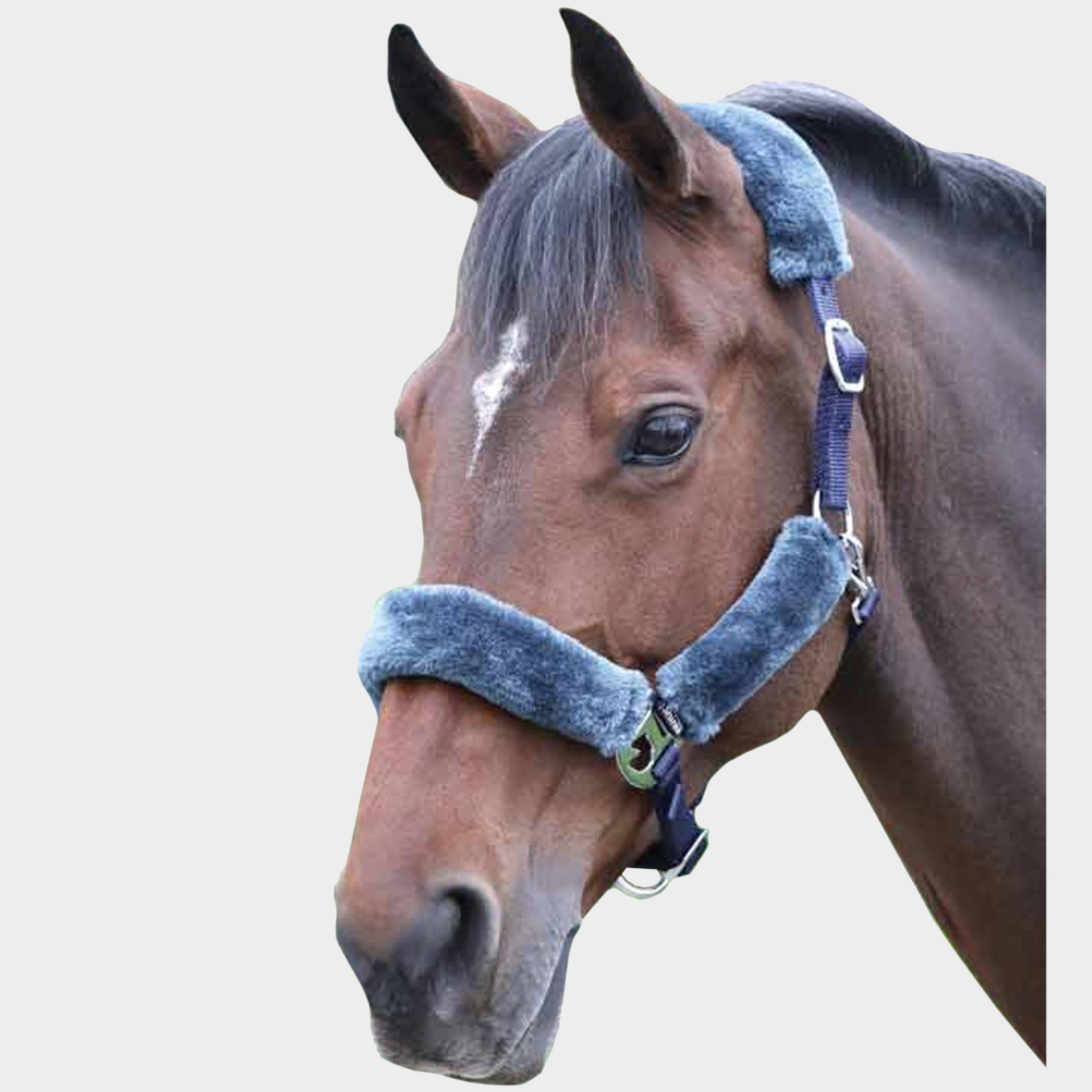 Fleece Lined Headcollar Navy/Grey