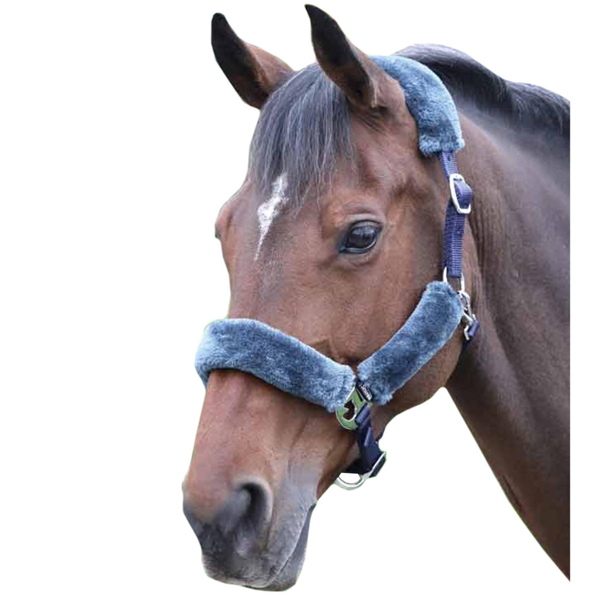 Fleece Lined Headcollar Navy/Grey