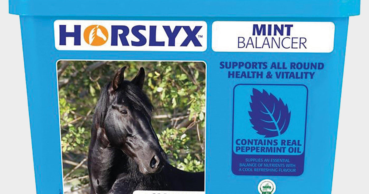 Horslyx Mint Refill 5kg – Naylors