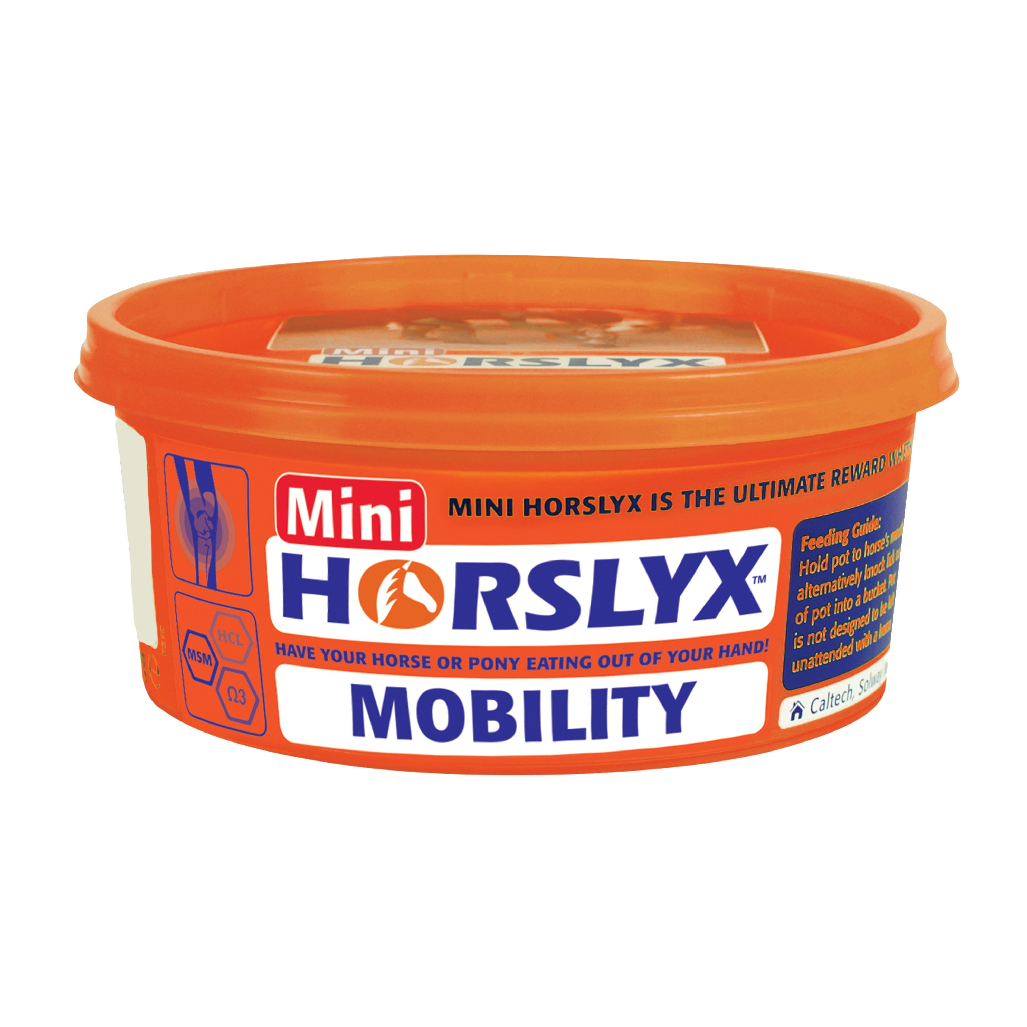 Mini Mobility 650g