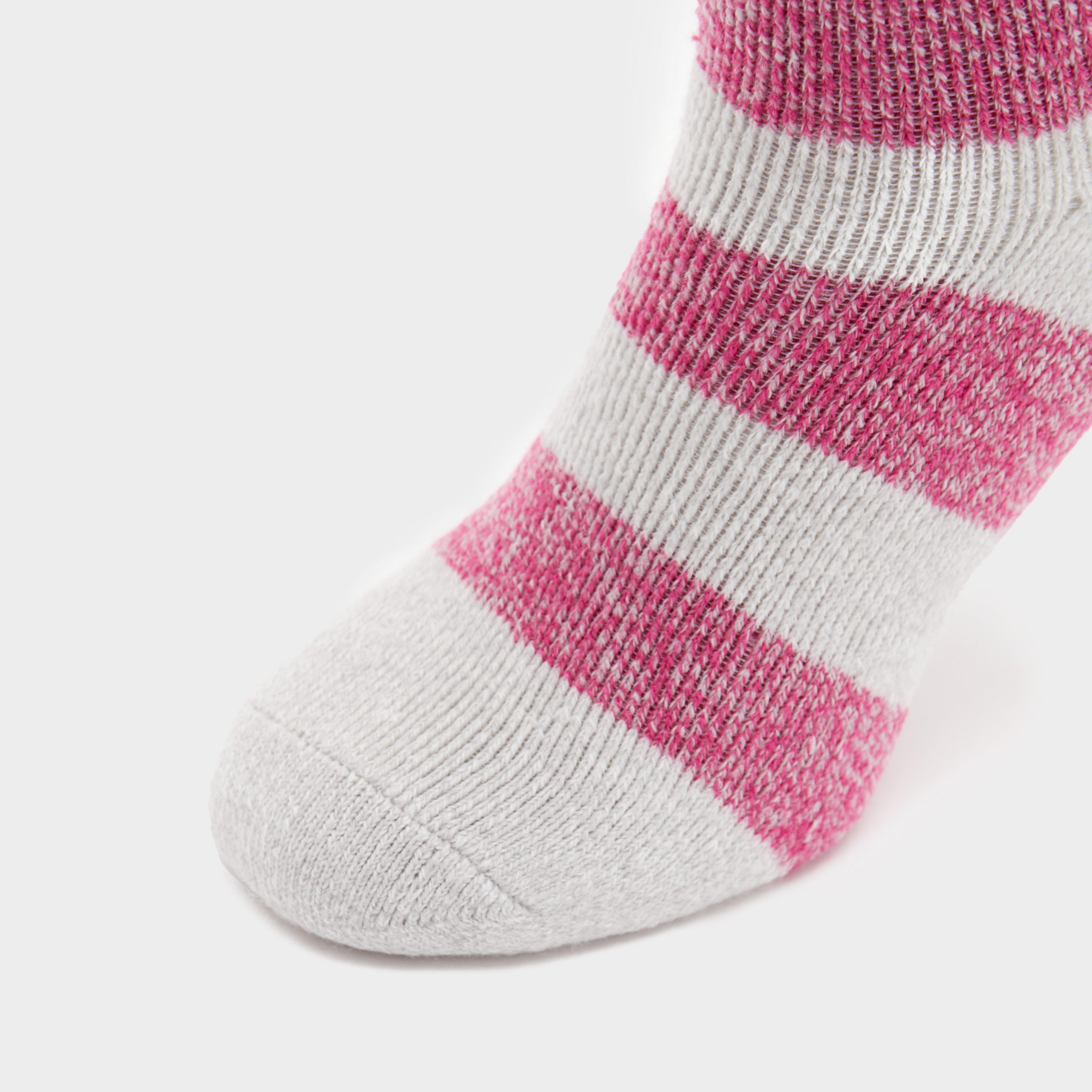 Novelty Socks Donkey Donut