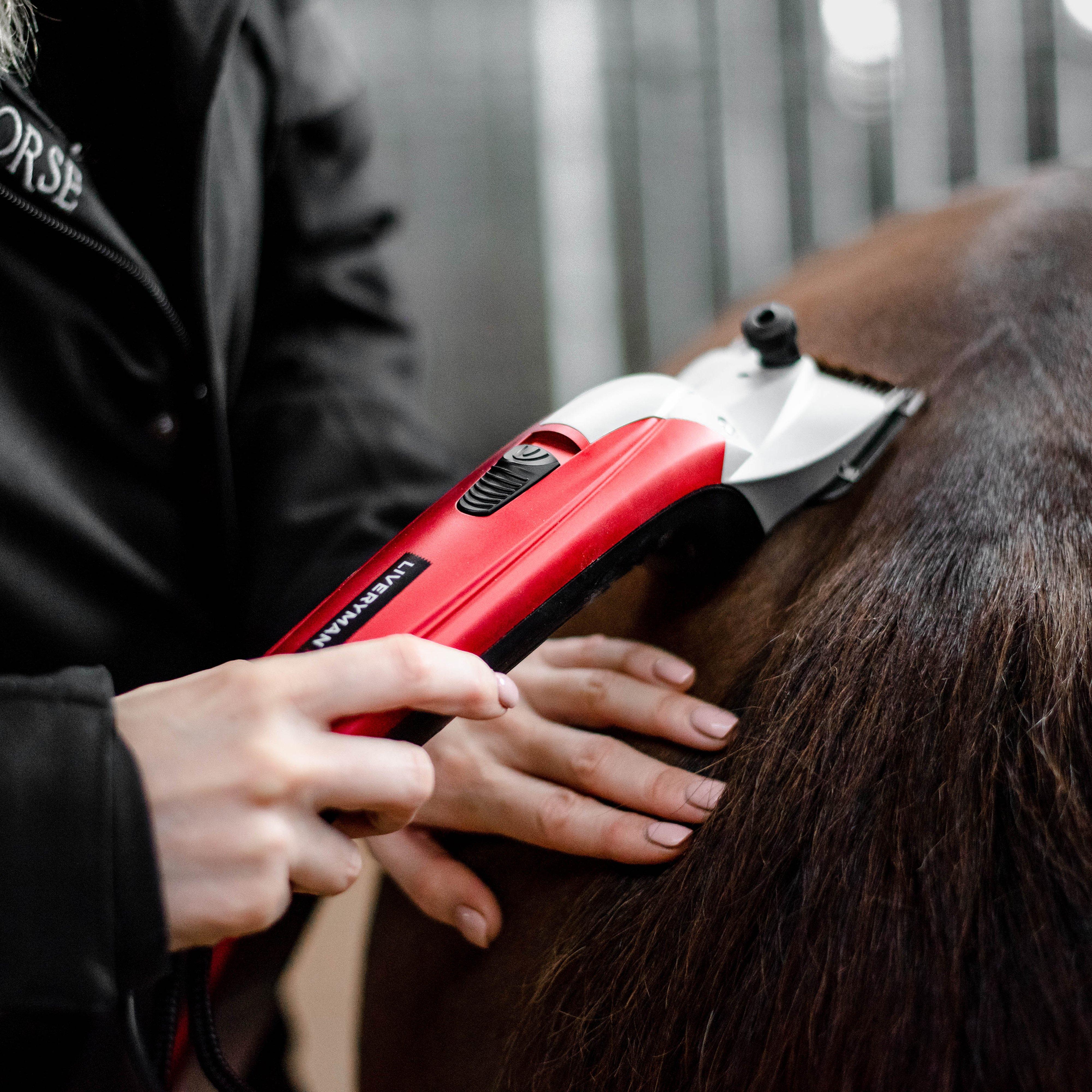 Black Beauty Clipper
