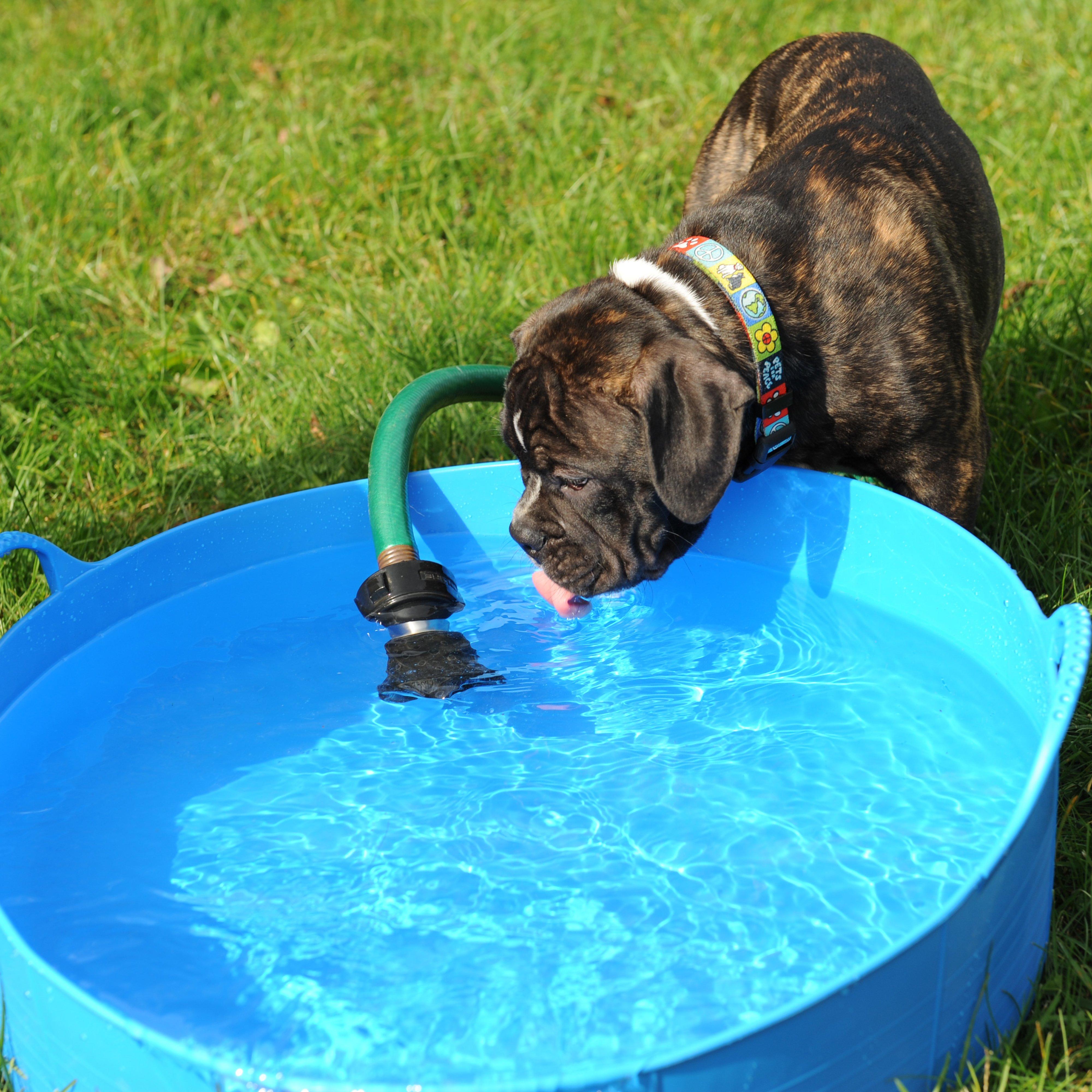 Flexible Shallow Bucket Blue