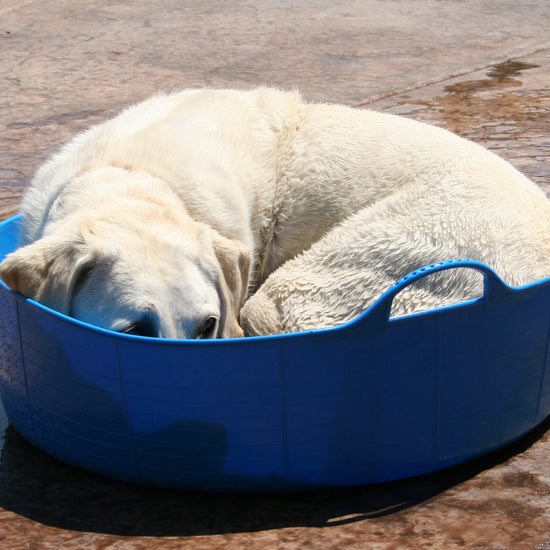 Flexible Shallow Bucket Blue