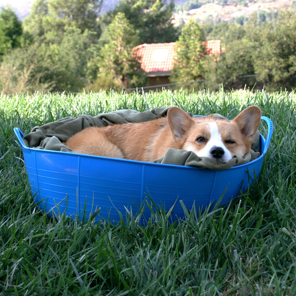 Flexible Shallow Bucket Blue