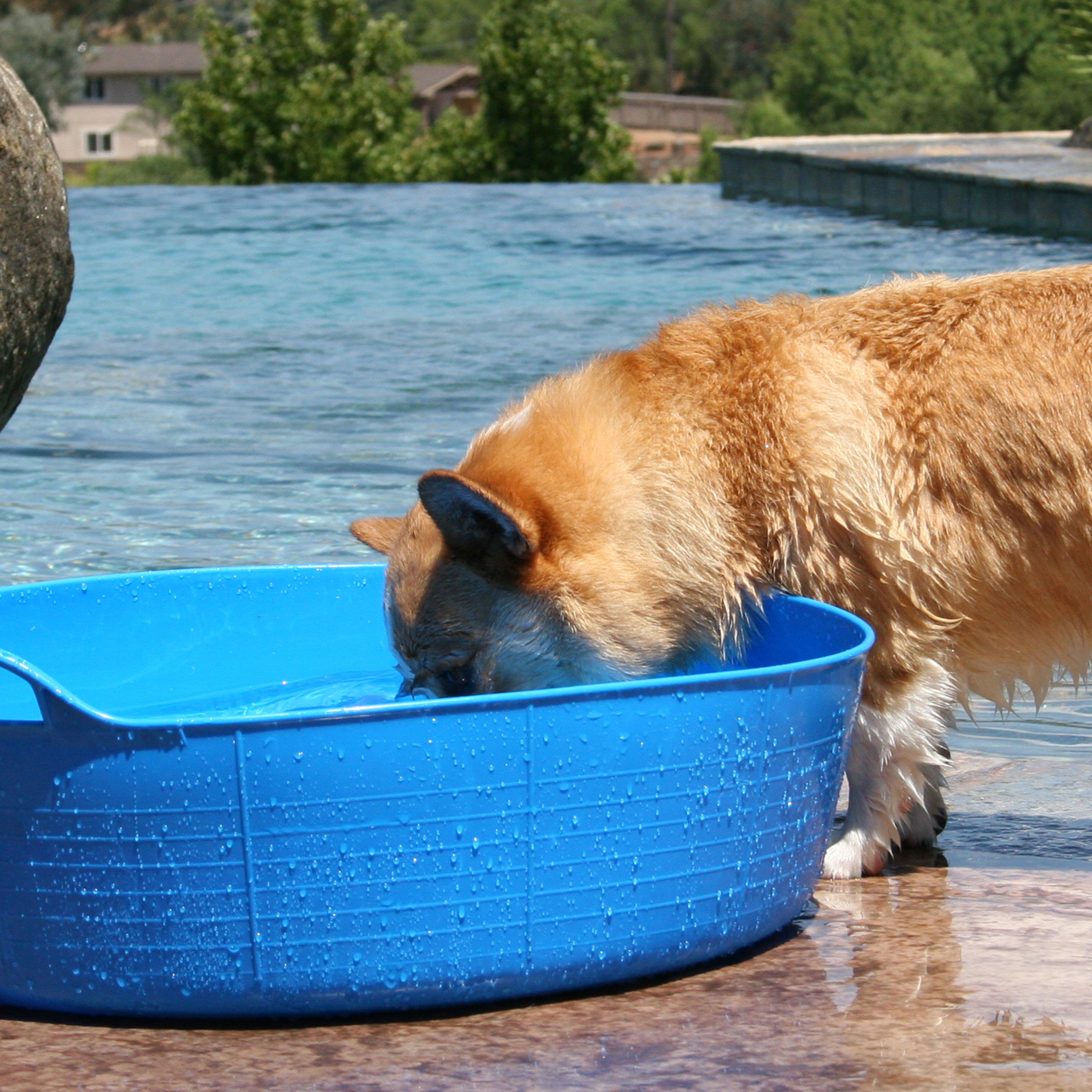 Flexible Shallow Bucket Blue