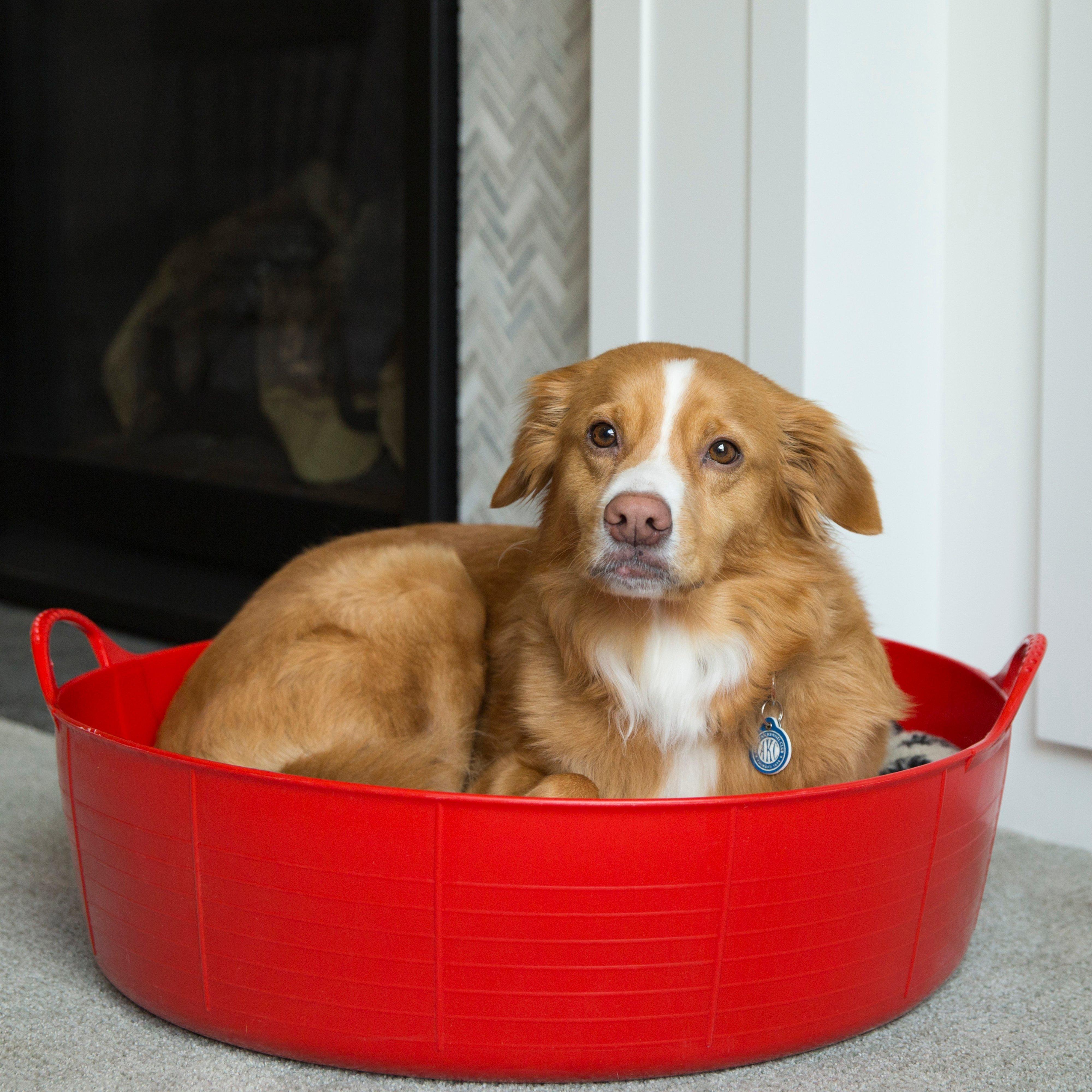Flexible Shallow Bucket Red