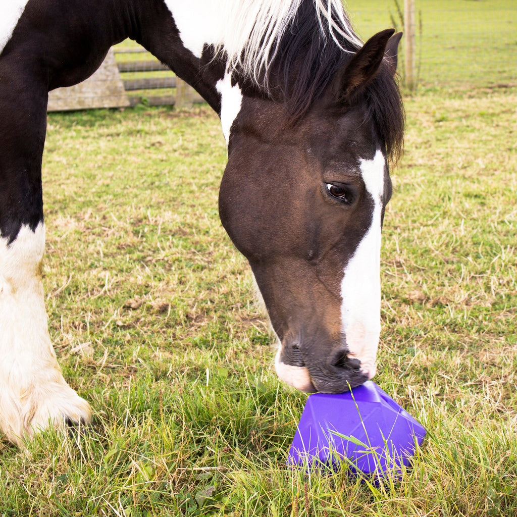 Drip Feed Treat Ball Purple