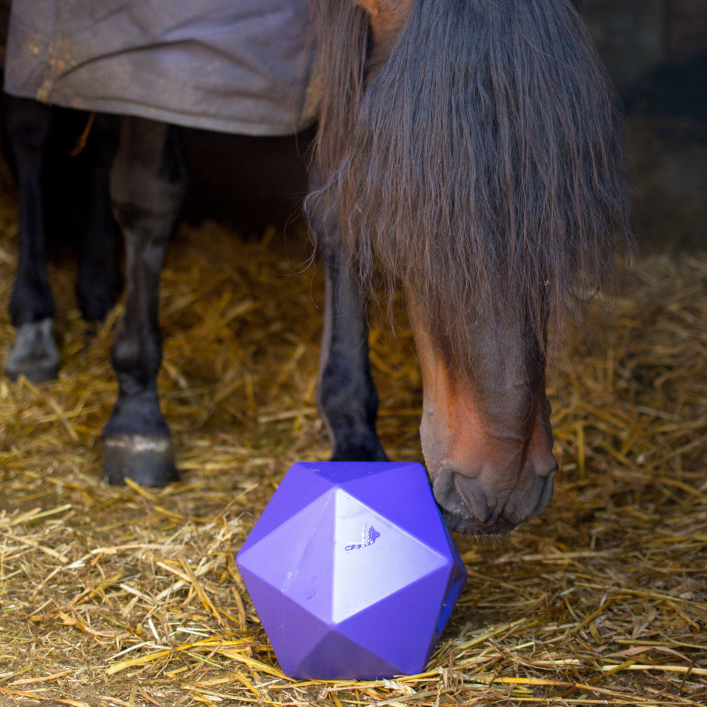 Drip Feed Treat Ball Purple