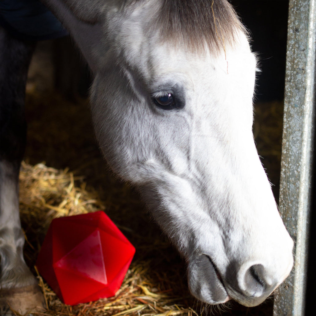 Drip Feed Treat Ball Red