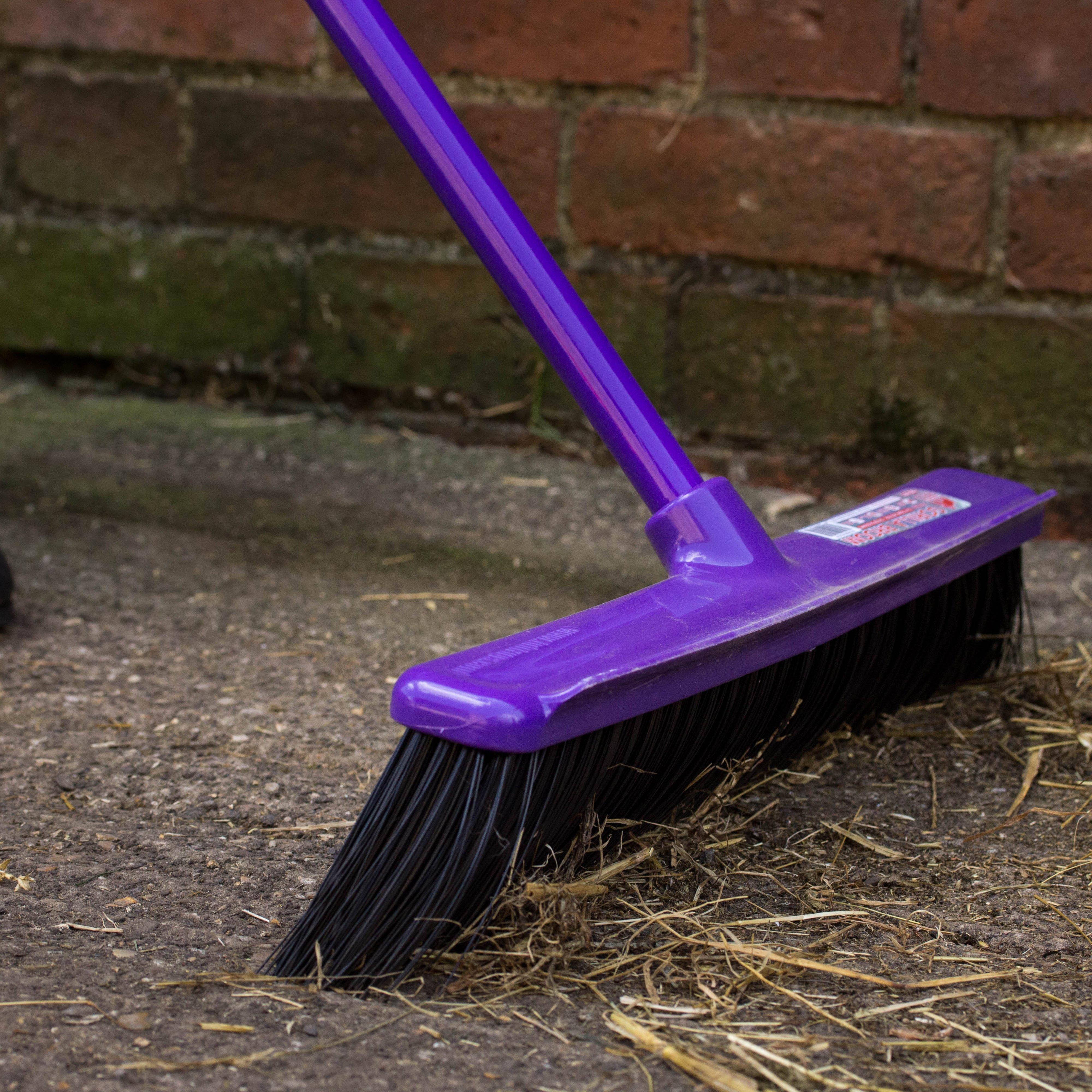 Broom 50cm Purple