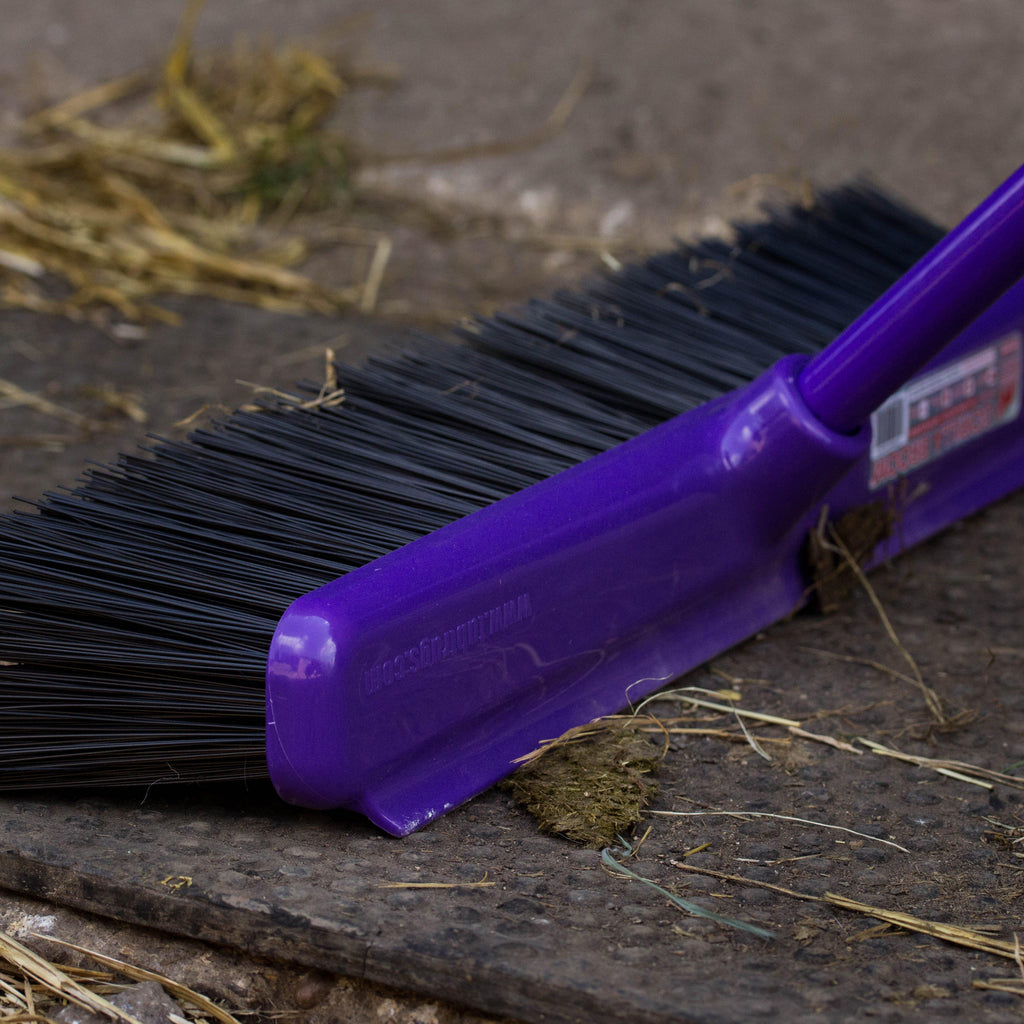 Broom 50cm Purple