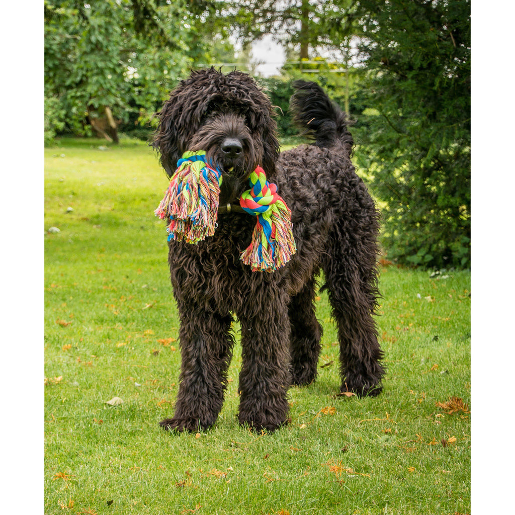 Toyz Triple Knot Tug Rope