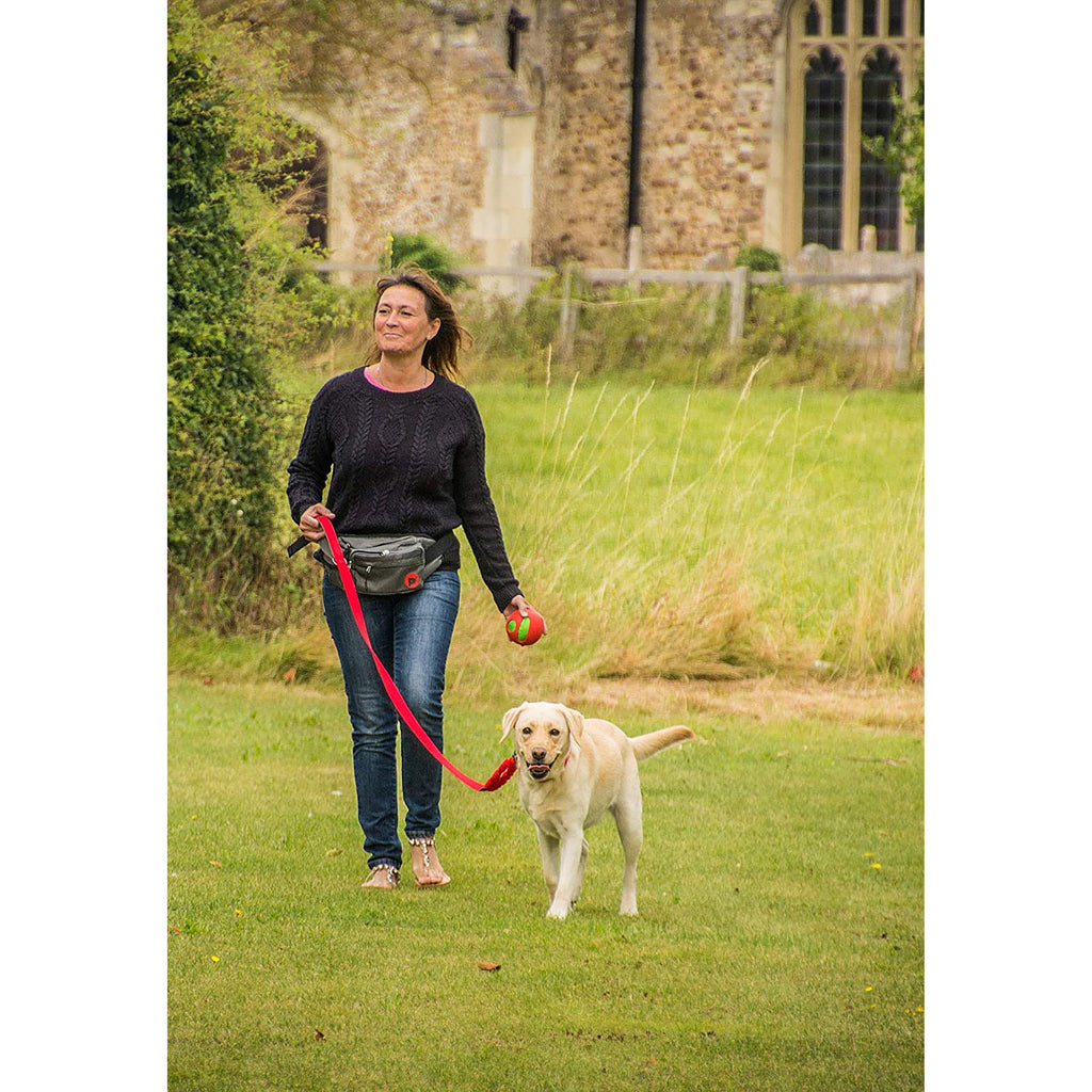 Dog Walk Bum Bag Grey