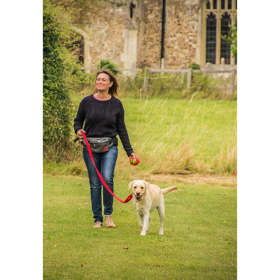 Dog Walk Bum Bag Grey