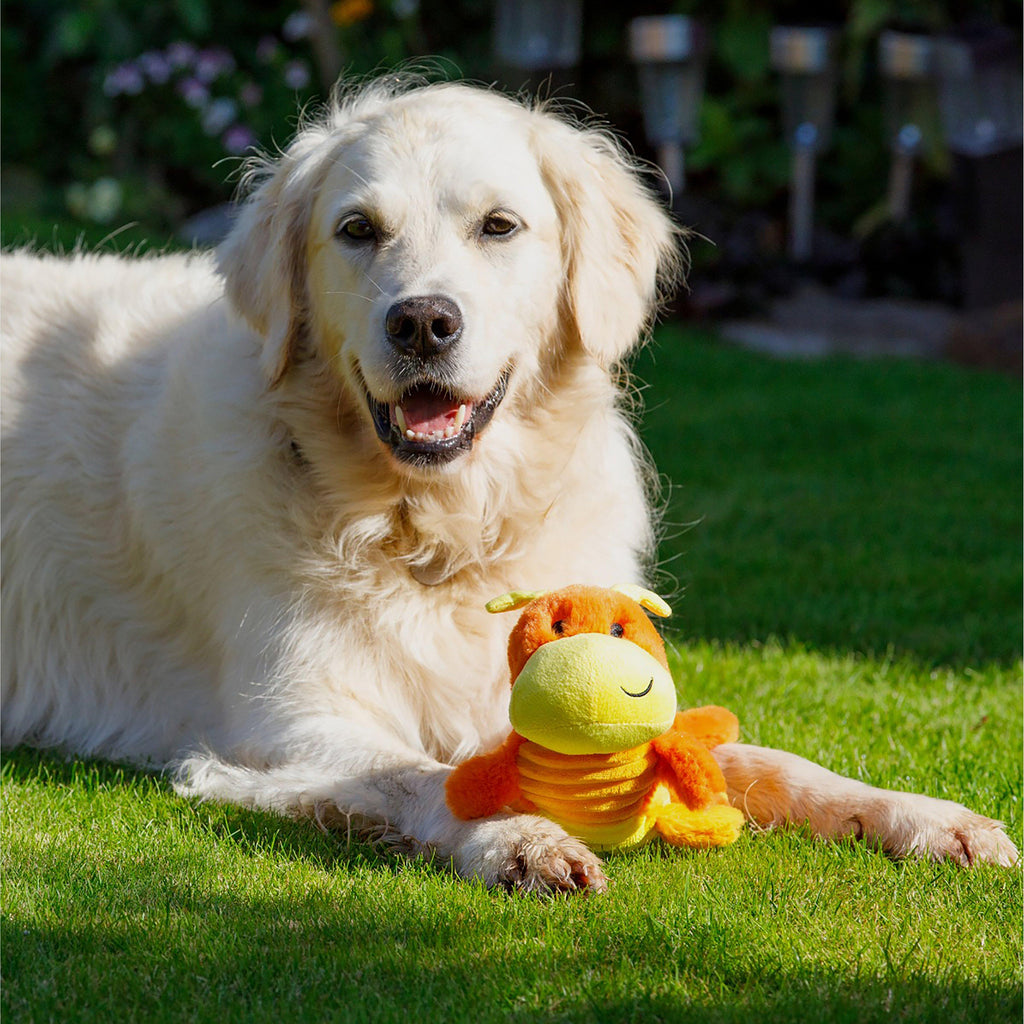 Buddies Cody Caterpillar Plush Dog Toy