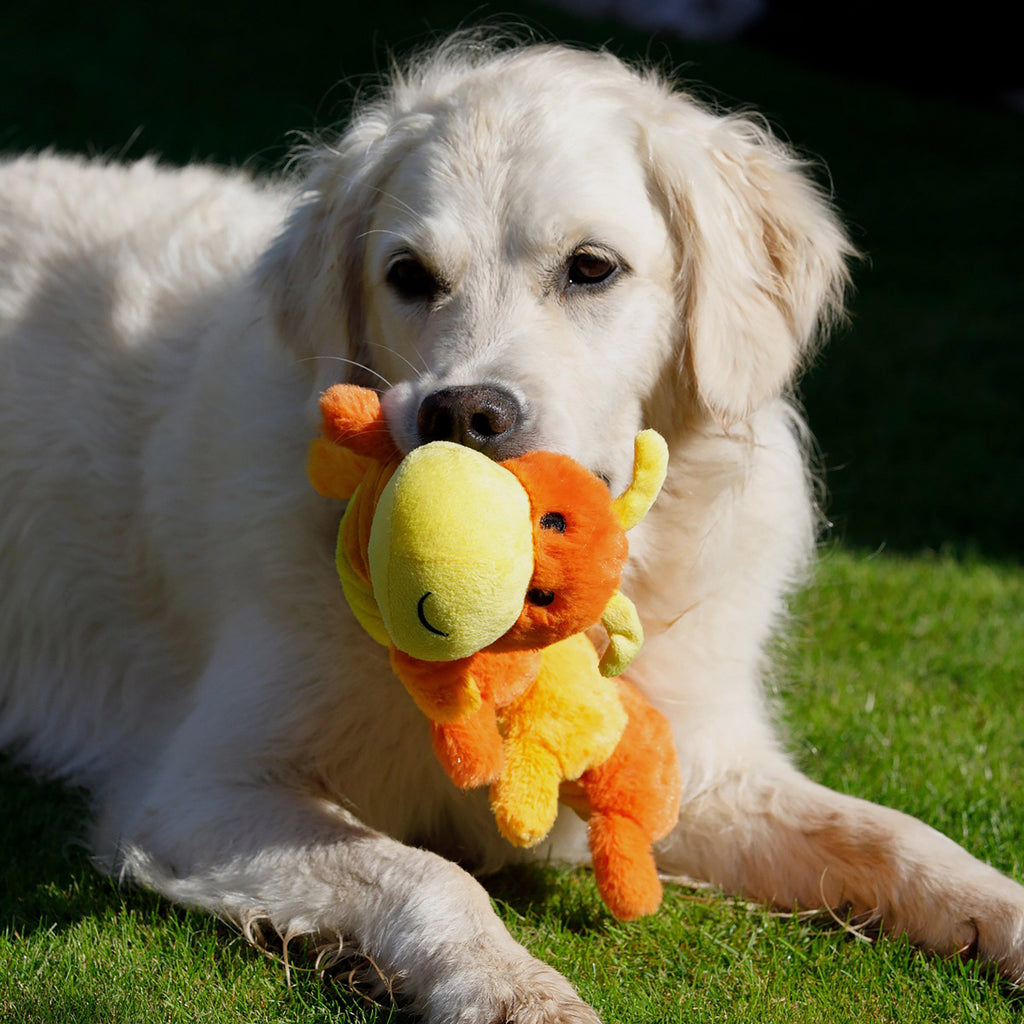 Buddies Cody Caterpillar Plush Dog Toy