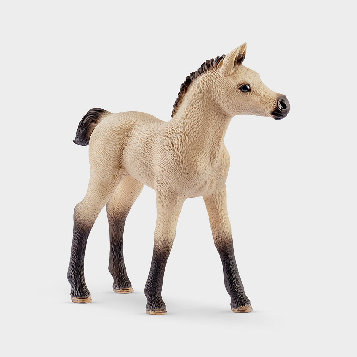 Horse Stall Arab And Groom