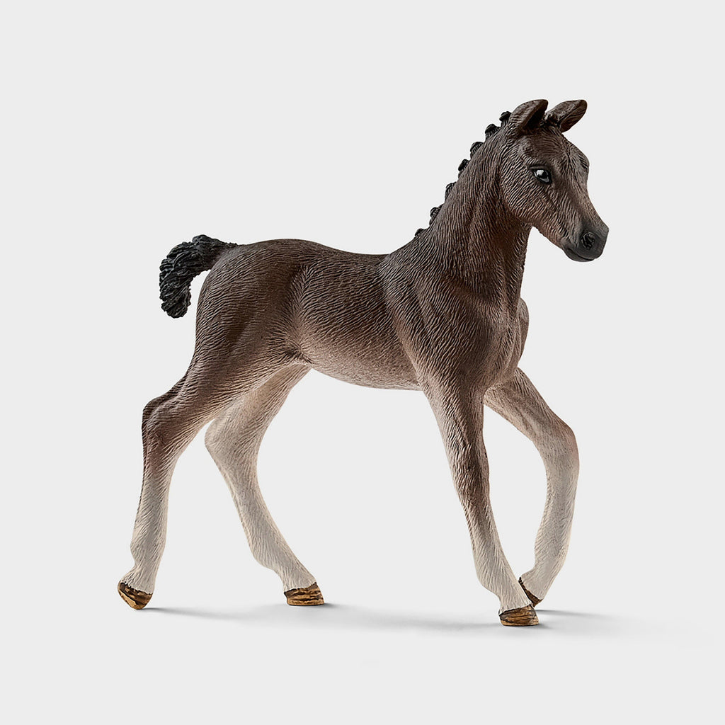 Mobile Vet Hanoverian Foal