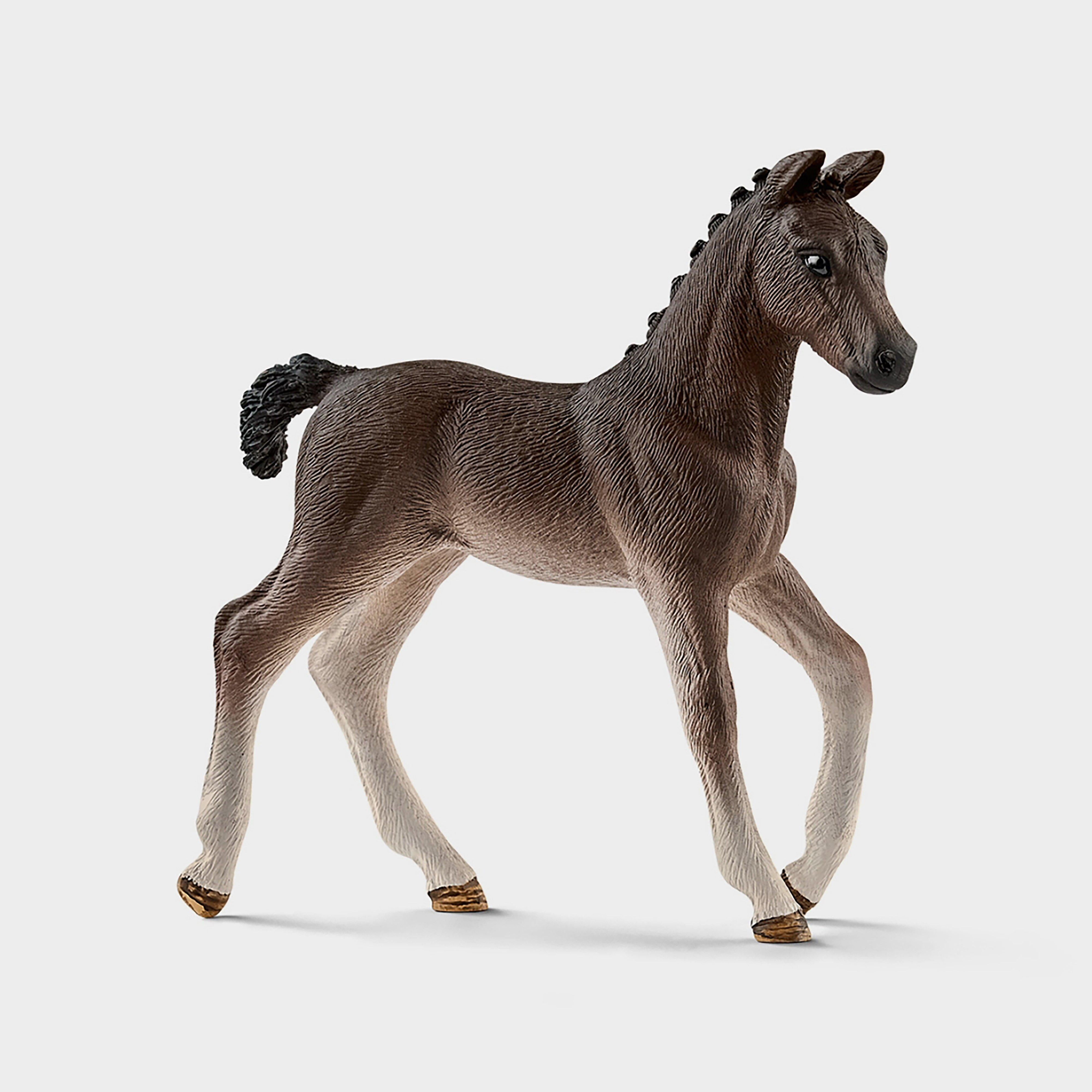 Mobile Vet Hanoverian Foal