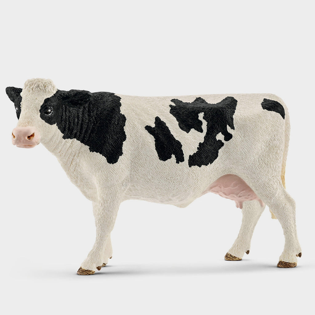 Holstein Cow