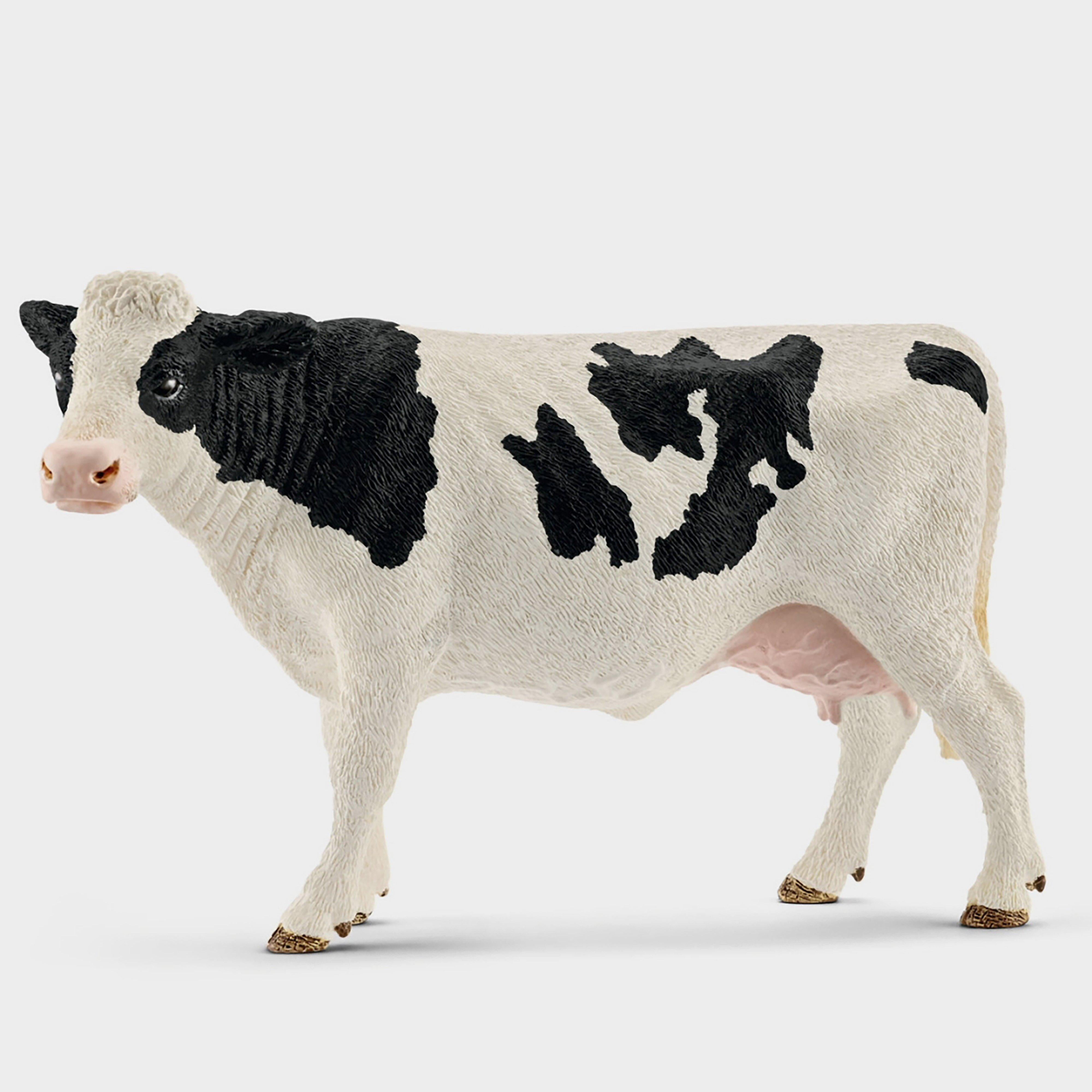 Holstein Cow