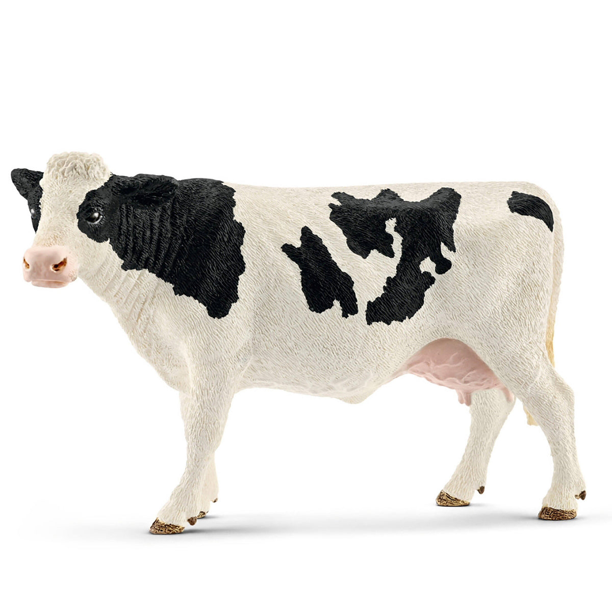 Holstein Cow