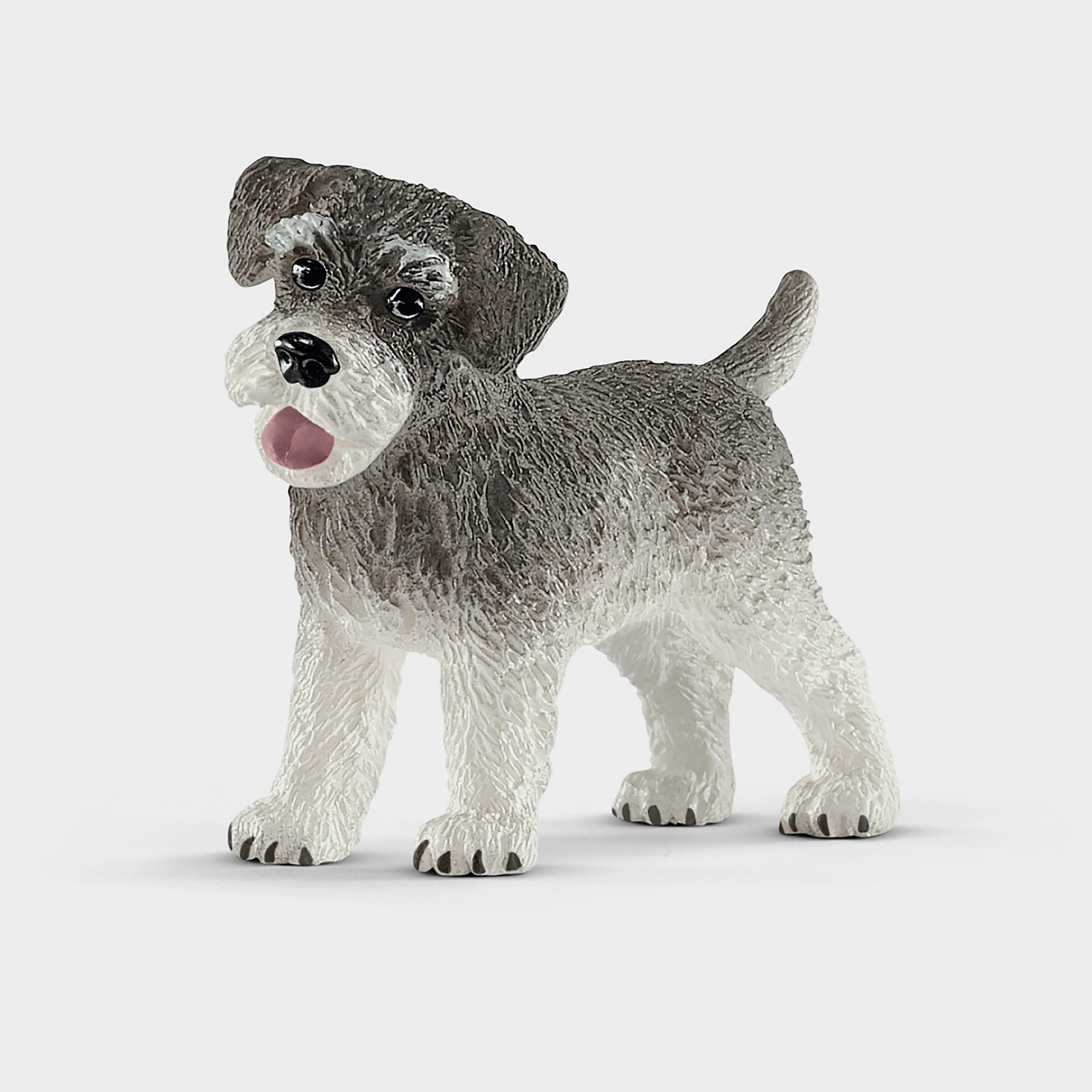 Miniature Schnauzer