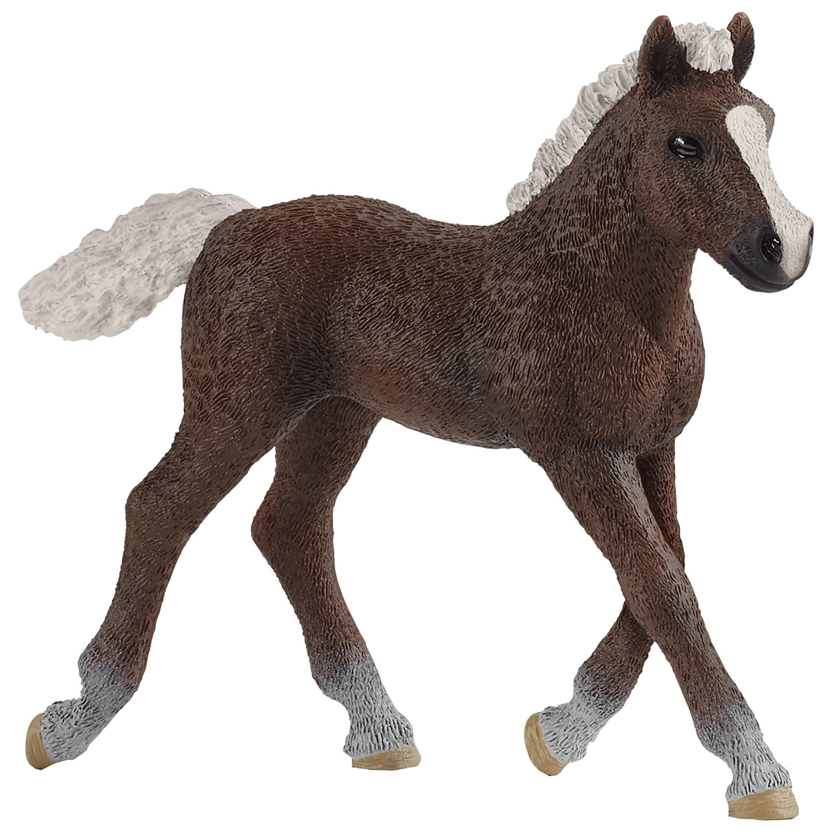Black Forest Foal