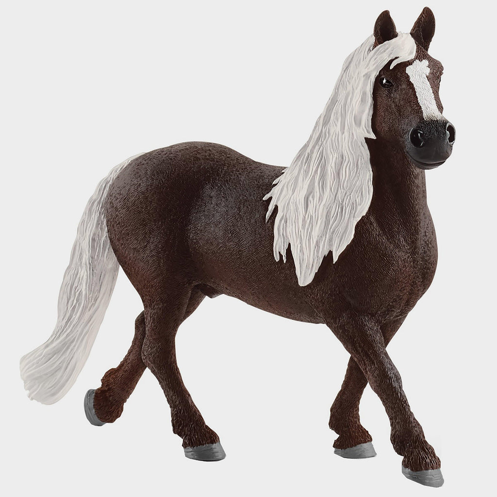 Black Forest Stallion
