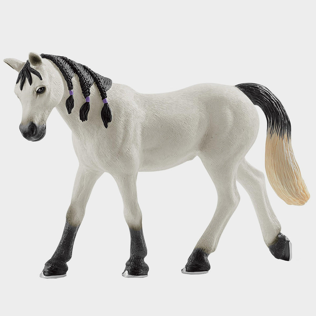 Arabian Mare