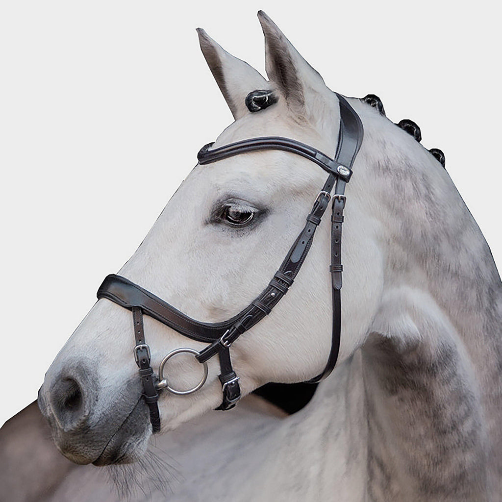 Equitus Alpha Bridle Black