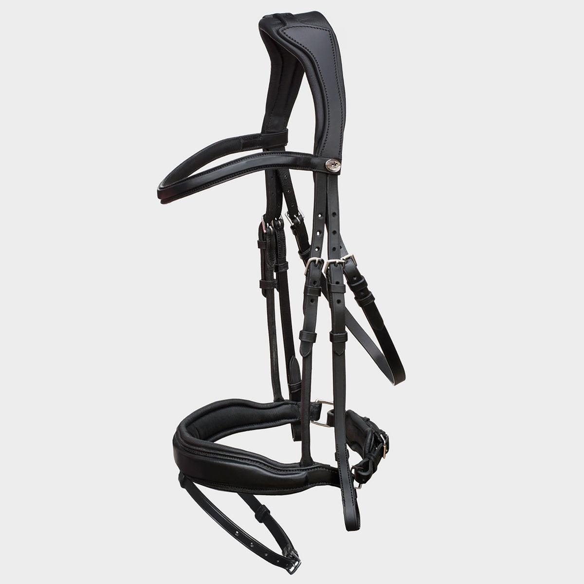 Stanford Flash Bridle Black