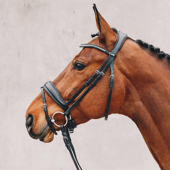 Stanford Flash Bridle Black