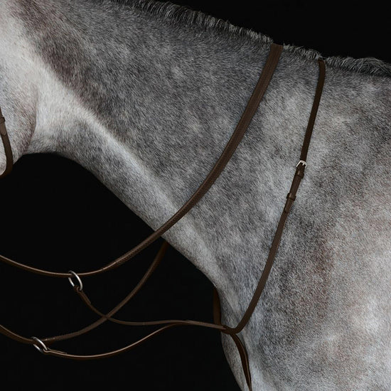 Running Martingale Brown