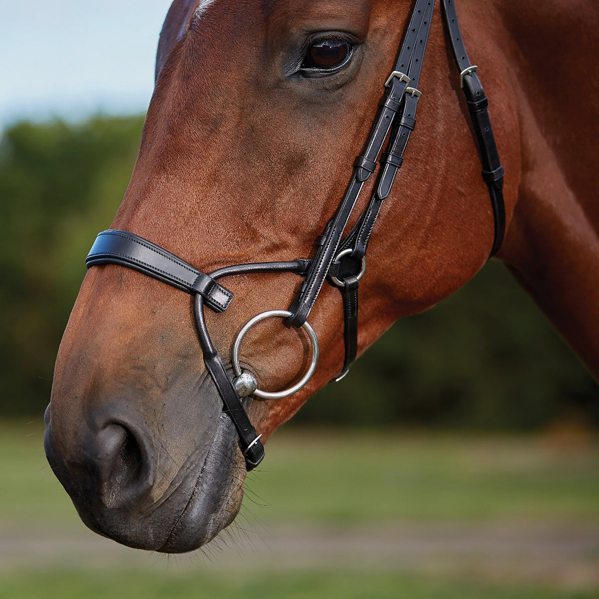 ComFiTec Training Bridle Black