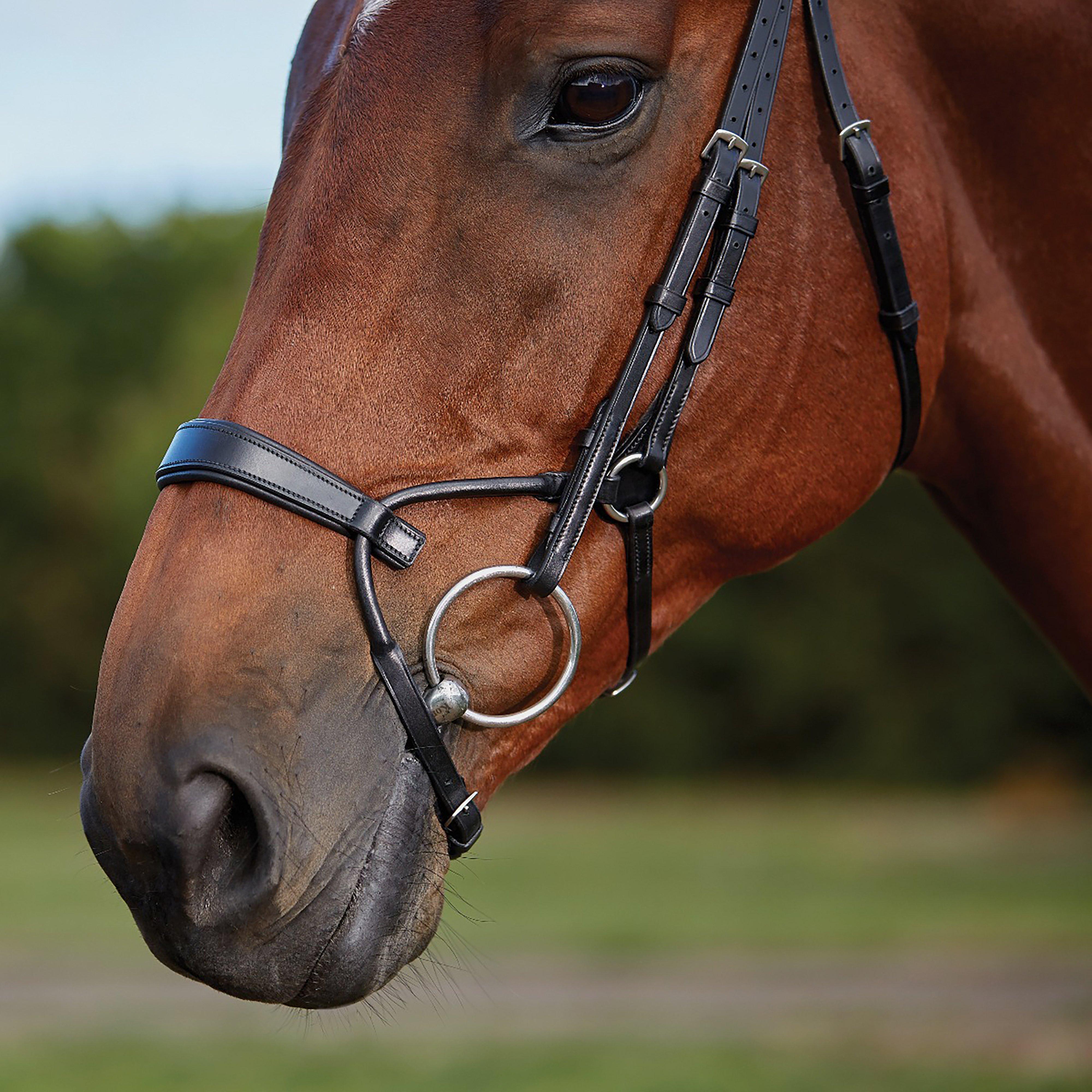 ComFiTec Training Bridle Black
