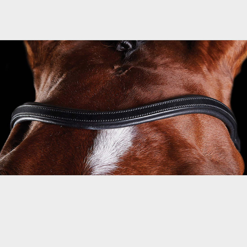 ComFiTec Training Bridle Black