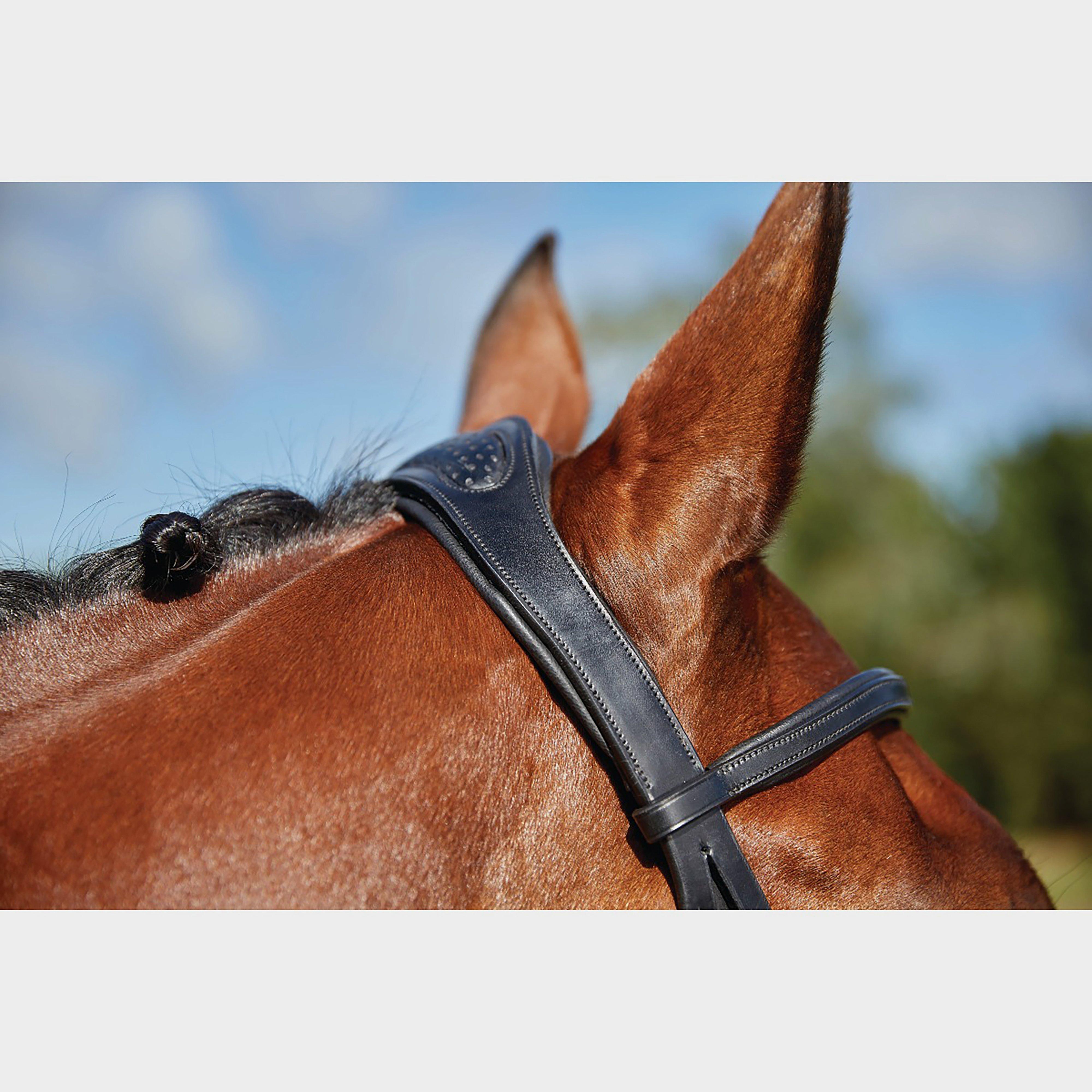 ComFiTec Training Bridle Black