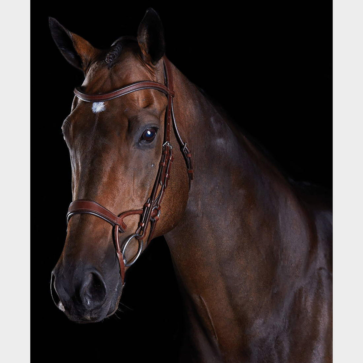 ComFiTec Training Bridle Brown