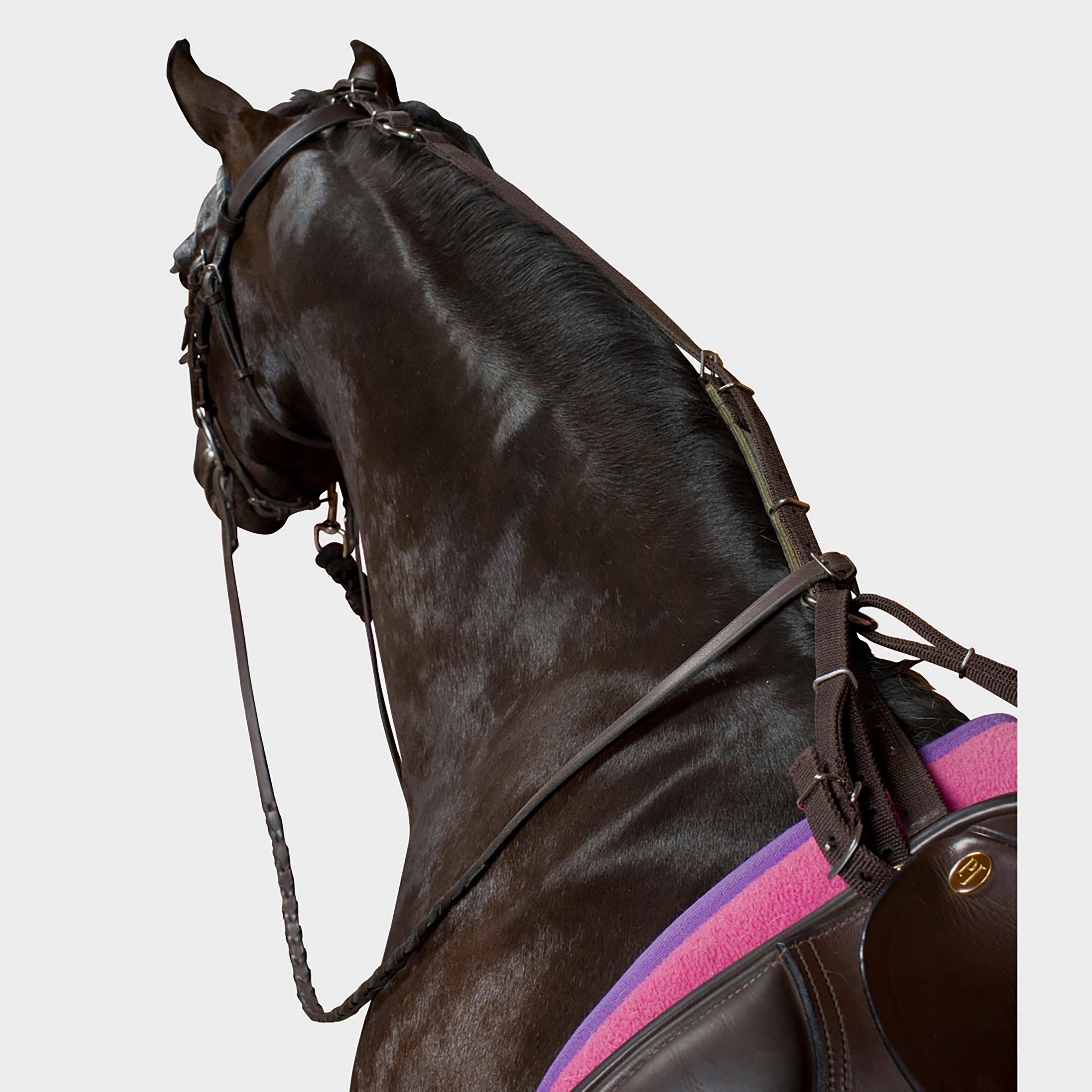 Nylon Anti-Grazing Straps Black