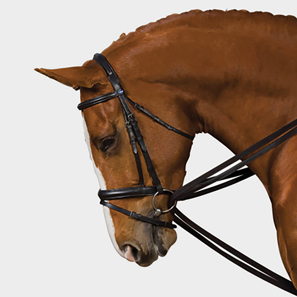 Webbed Draw Reins Black