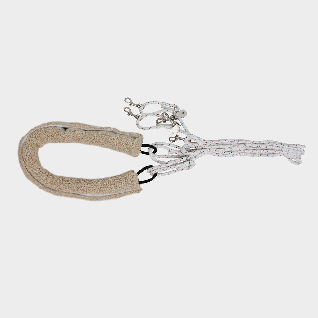 Lunge Training System