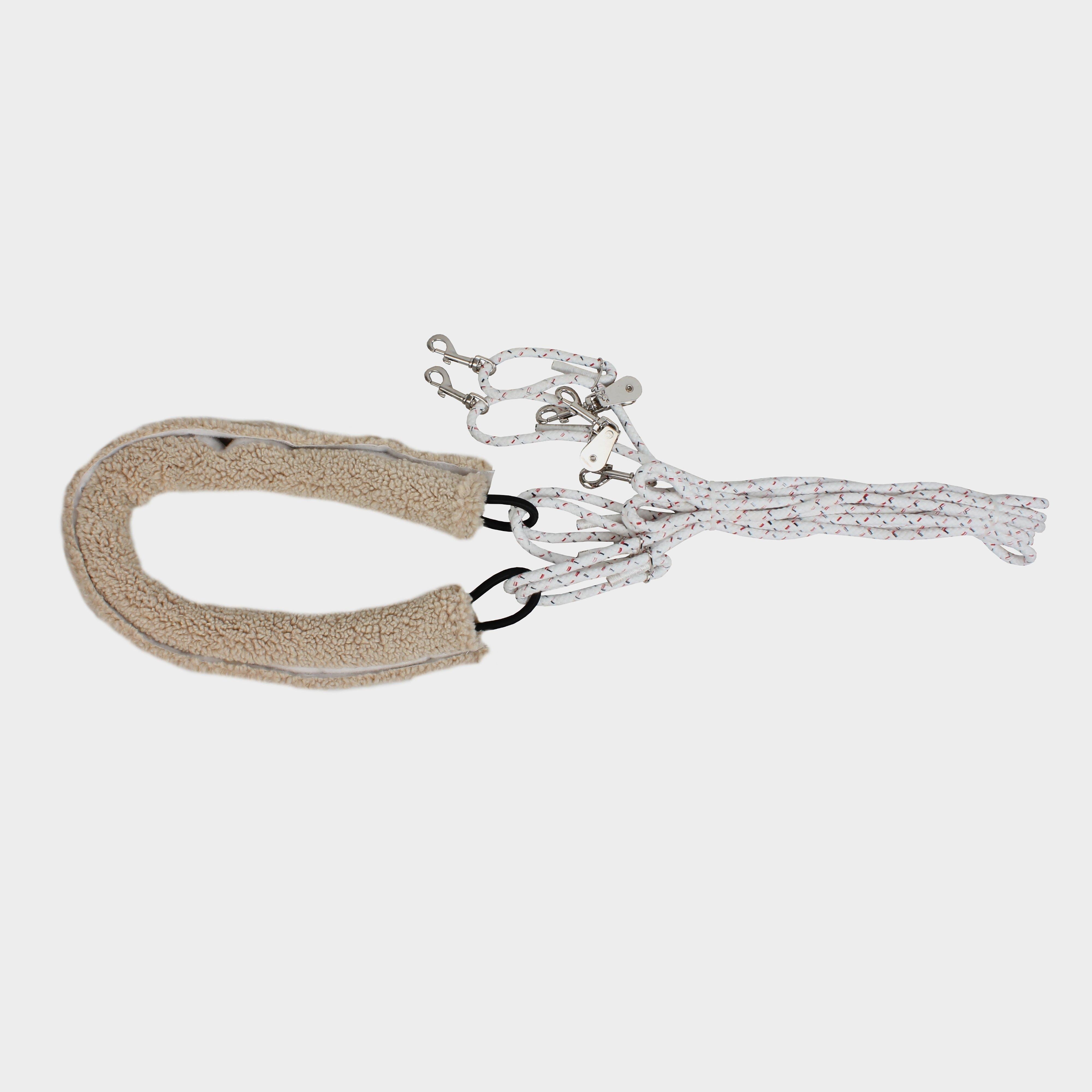 Lunge Training System