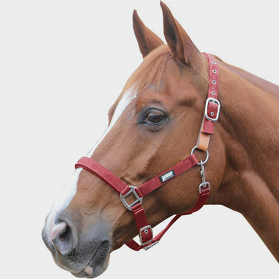 Breakaway Headcollar Red