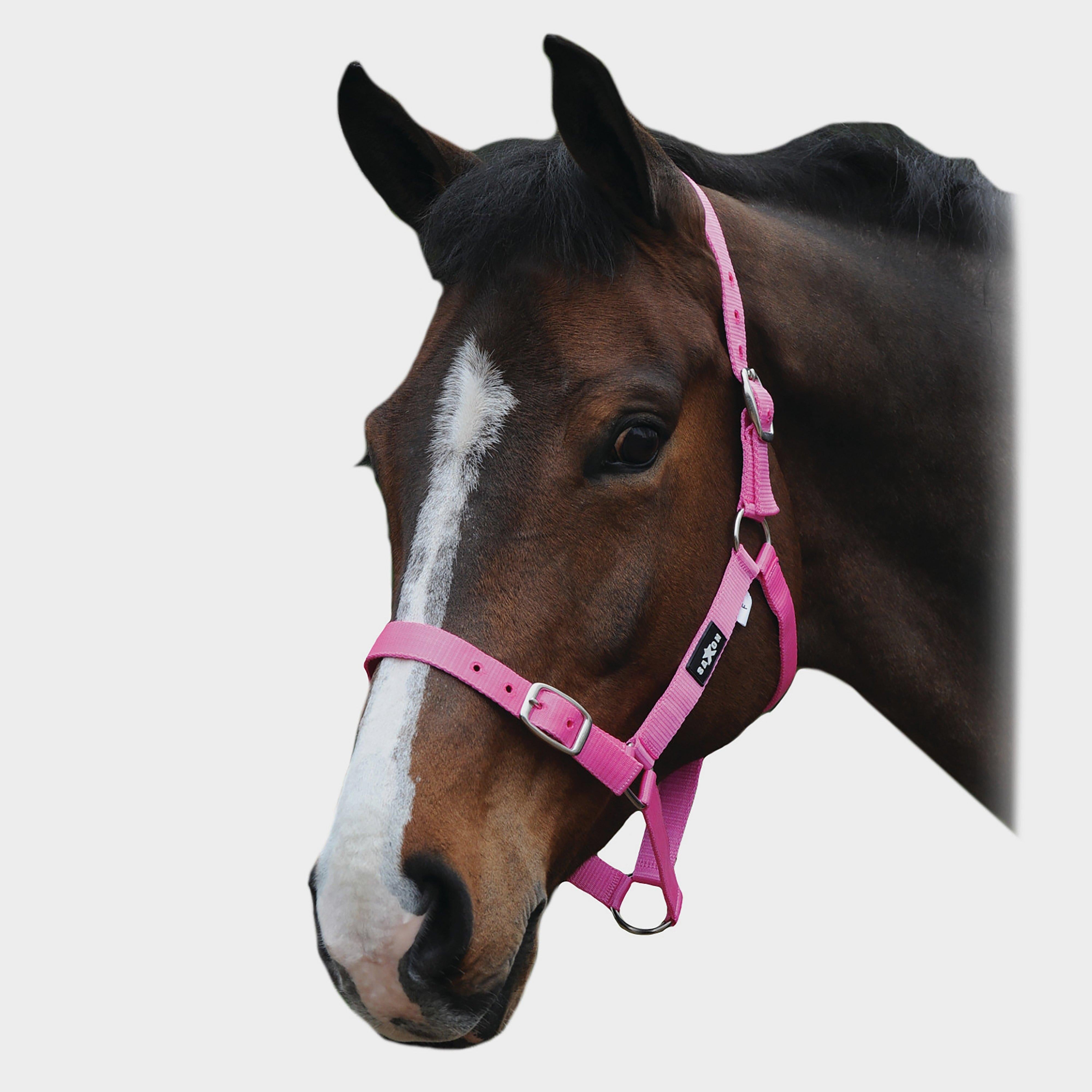 Economy Headcollar Pink