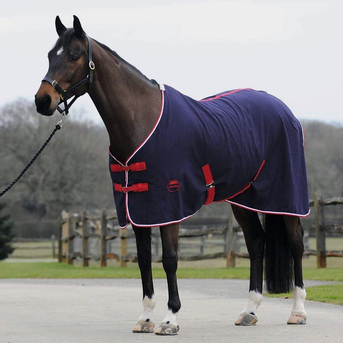 Cotton Show Sheet Navy/Red/White