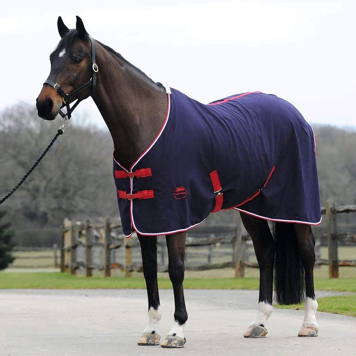 Cotton Show Sheet Navy/Red/White