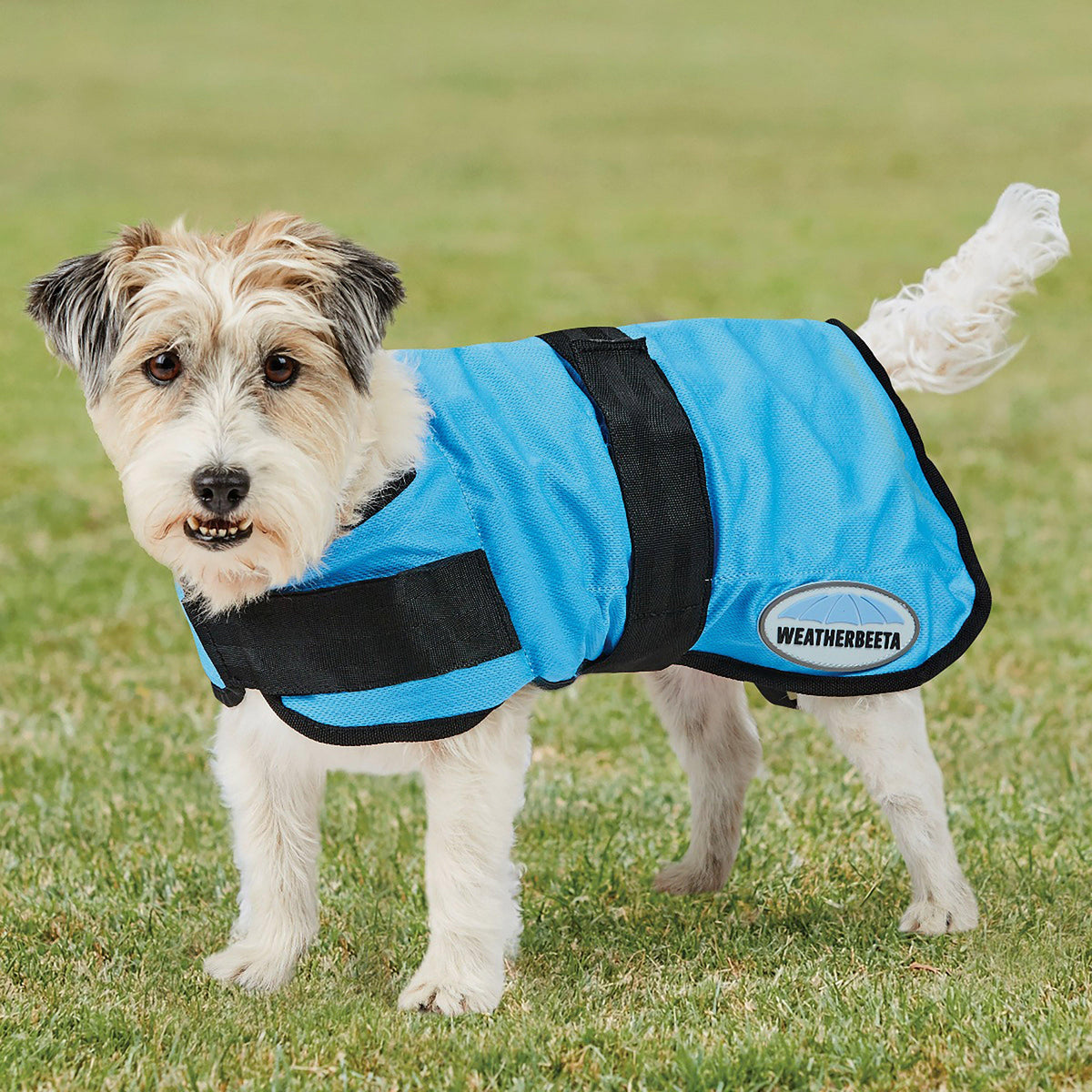 Therapy-Tec Cooling Dog Coat Blue
