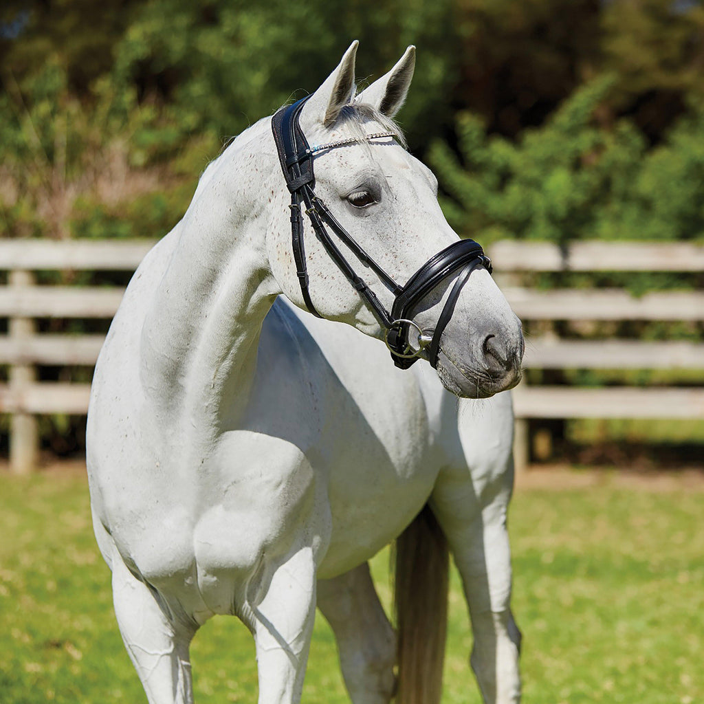 Therapy-Tec Anatomical Poll Pad Black